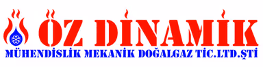 Öz Dinamik